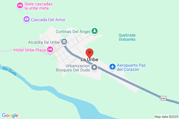 P. Uribe