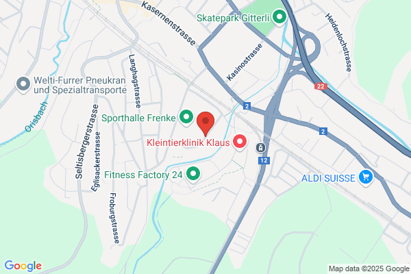 intesys GmbH