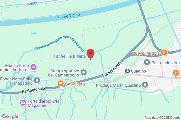Farinelli e Dillena SA