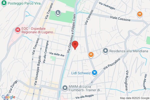 Grifone Autofficina Sagl