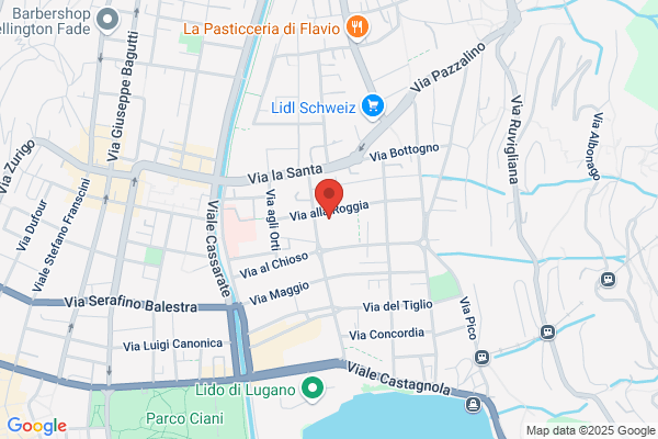 Galleria d'arte la Colomba SA