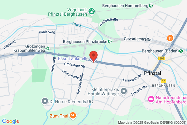 Esso Tankstelle P. Planzer