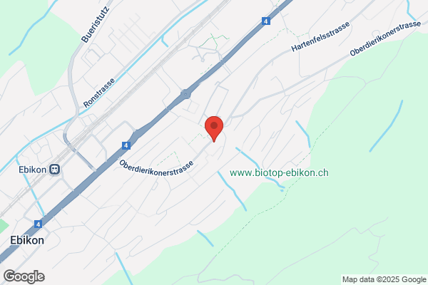 Rigi-Taxi