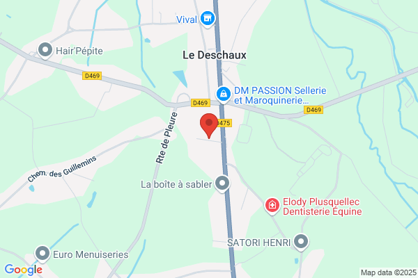 Des Mélèzes Paysagiste Sàrl