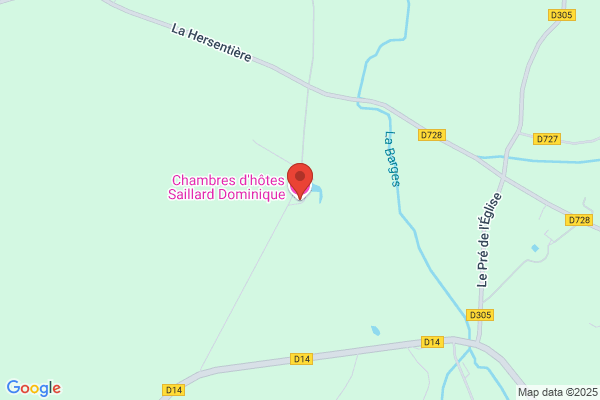 Dominique Saillard