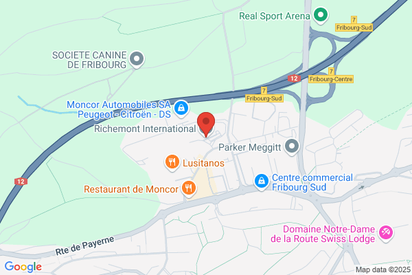 Complications SA Branch of Richemont International SA