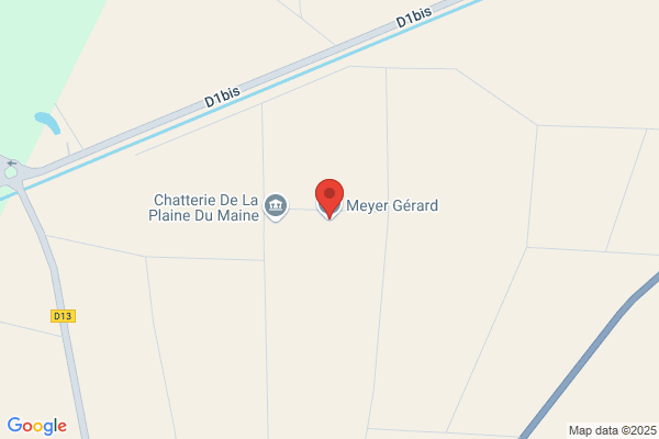 Gérard Meyer