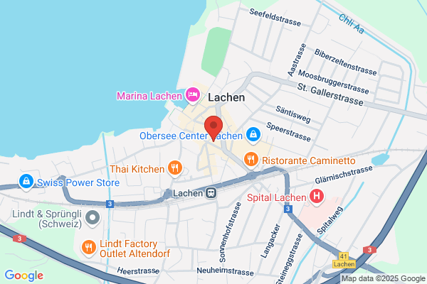 Driving Team Lachen
