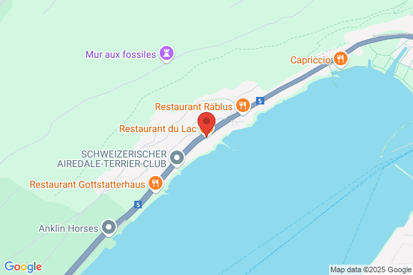 Restaurant du Lac