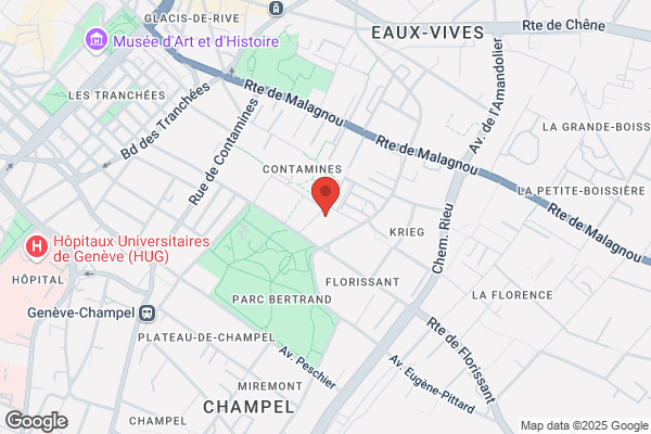 Consulat Egypte République Arabe