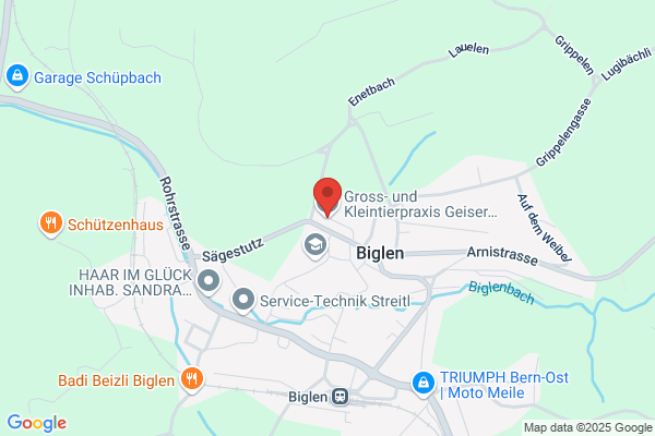 Gross- und Kleintierpraxis Geiser Biglen