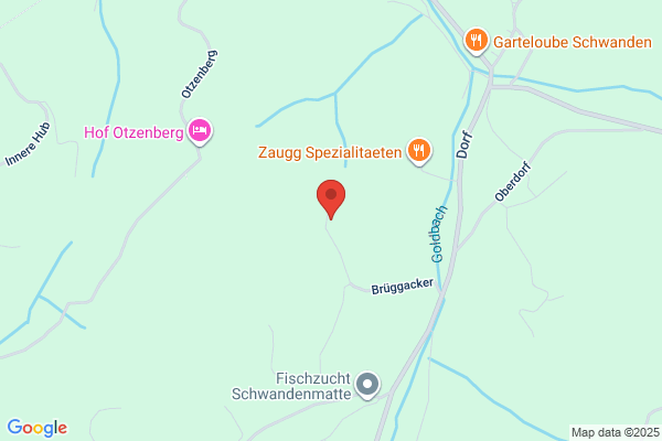 Innenausbau Schoeni GmbH
