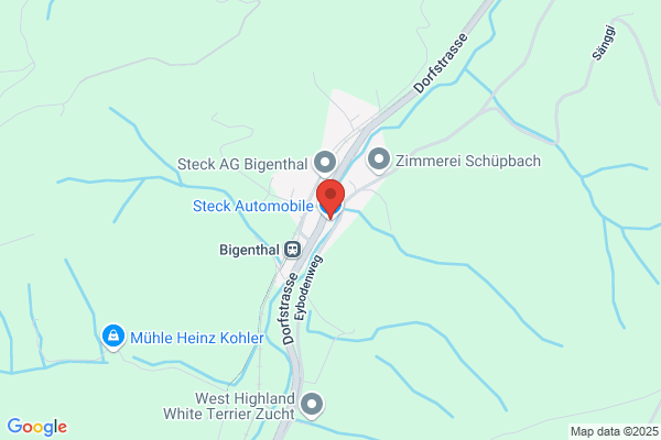 Steck Automobile AG