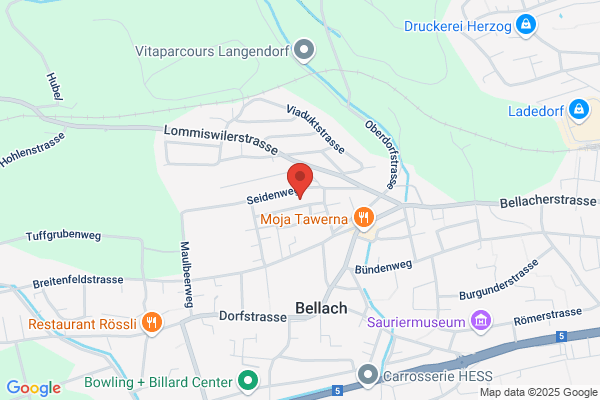Fahrschul L Team