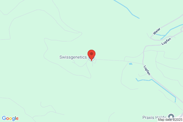 Swissresearch AG