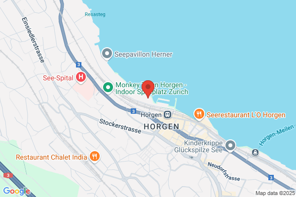 Musikschule Horgen