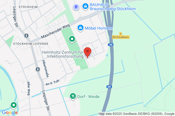 Helmholtz Institut fuer Arbeitswissenschaft M. Menozzi