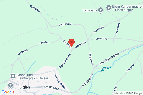 Aebi Tankrevisionen GmbH