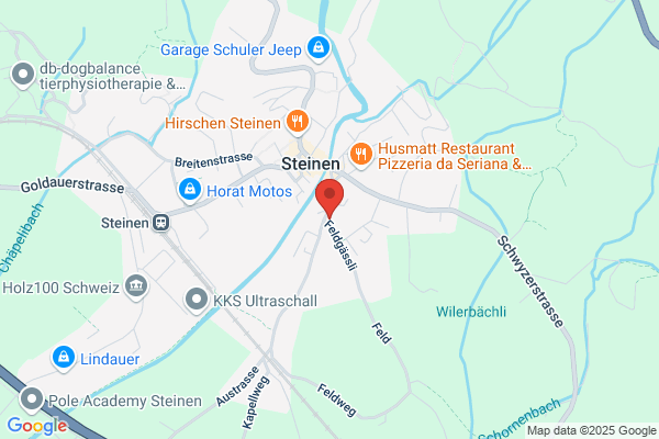 Steiner + Camenzind