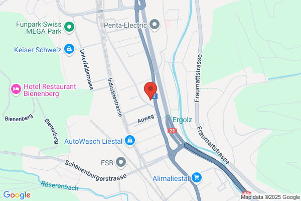 Rheingarage Buser AG