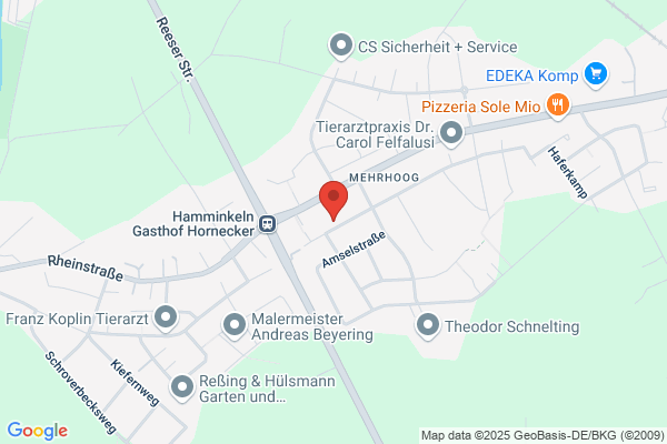 Tierhilfe Villa Kunterbunt