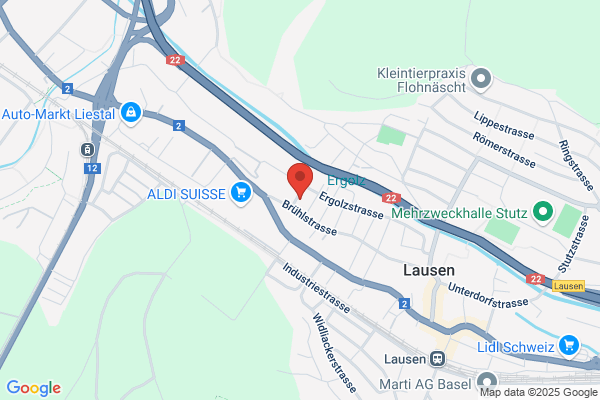 Roger's Fahrschule, Lausen