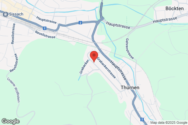 Borghesi Transport