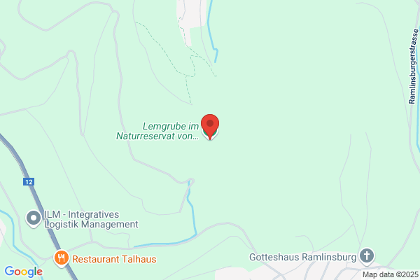 RamlinsburgNet AG