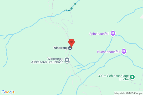 Restaurant Winteregg