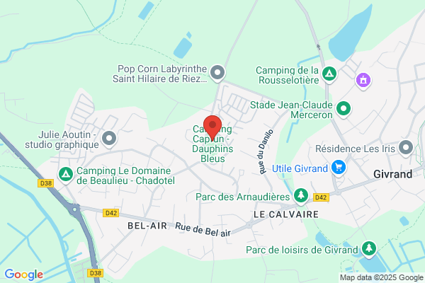 Les Dauphins Bleus SARL