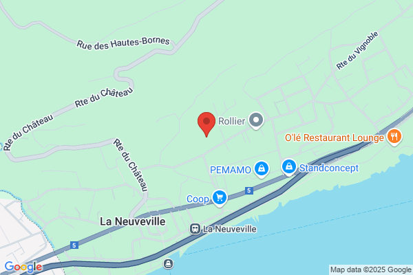 Collège du District