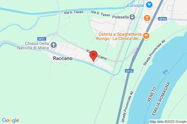 Renato Morandi SA