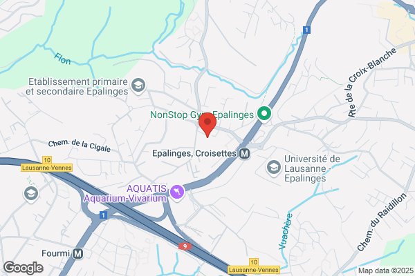 ECOST Energy Consulting und Studies