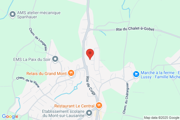 Tapis-Service SA