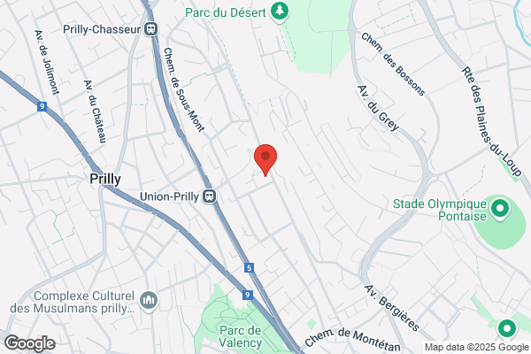 Brocante Au Chineur Vaudois