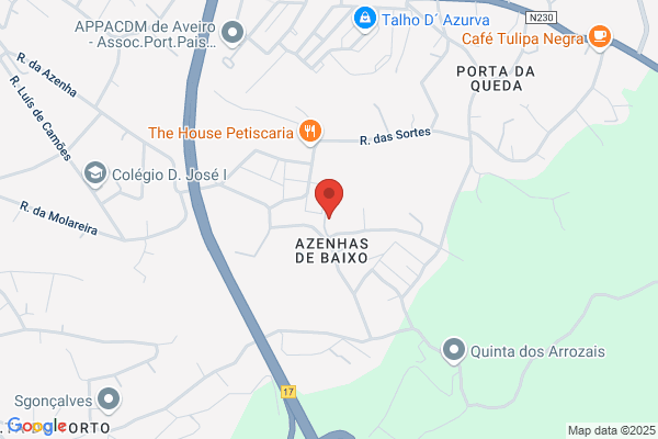Do Amaral Pires Lopes Automobiles