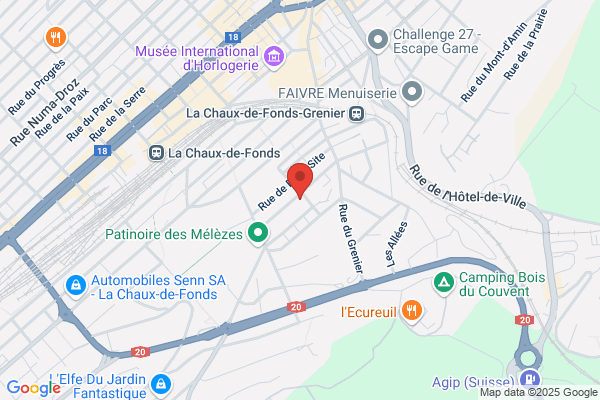 Star SA, Software, Translation, Artwork, Recording La Chaux-de-Fonds