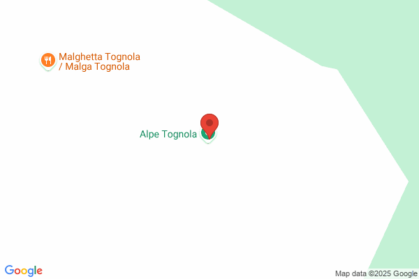 Marco Tognola