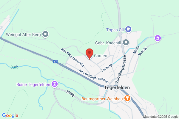Carnex AG