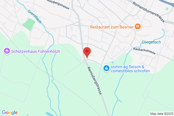 Bodensee Treuhand AG