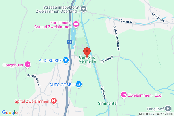 Sputnik Bikeshop Zweisimmen Lenk