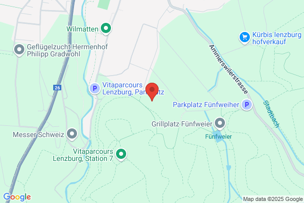 Saeuglingsfuersorge Bezirk Bremgarten