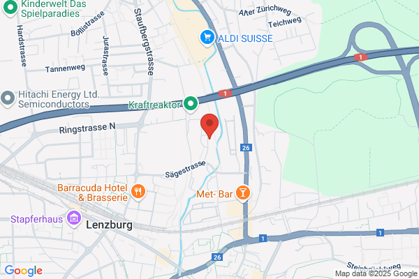 SDS Seondruck AG
