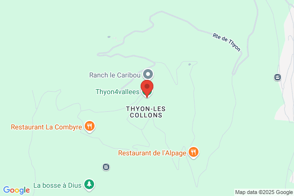 Télé-Thyon SA