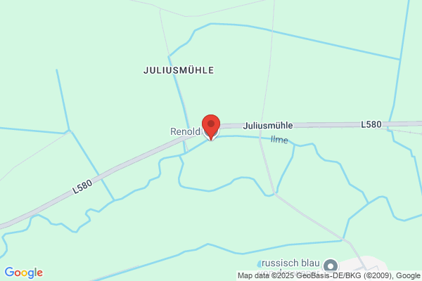 ynt déménagements Sàrl
