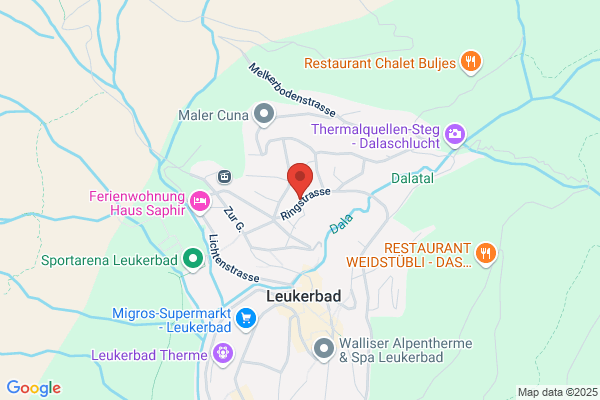 Denner Satellit