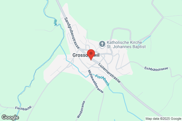 Heidi Dreier
