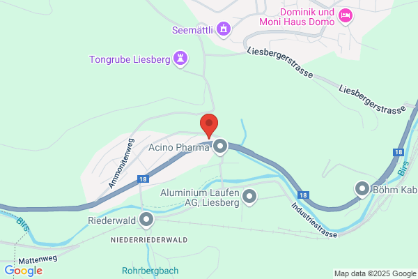 Tankstelle/Shop L. Dreier AG