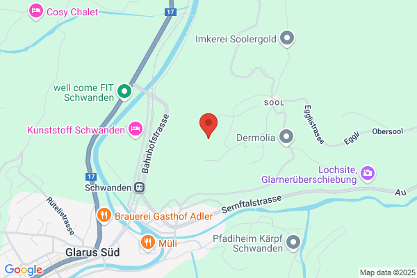 Neujahrsbote fuer das Glarner Hinterland