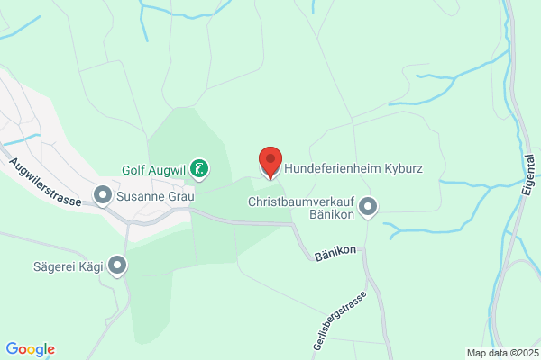 Hundeheim Kyburz AG